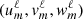$ ({u^\ell _m},{v^\ell _m},{w^\ell _m}) $