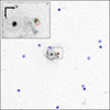 Thumbnail: Fig. 7. Refer to the following caption and surrounding text.