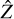 Mathematical equation: $\hat{Z}$