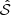 $ \hat{\mathcal{S}} $