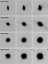 Thumbnail: Fig. A.2. Refer to the following caption and surrounding text.