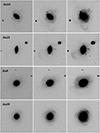 Thumbnail: Fig. A.3. Refer to the following caption and surrounding text.