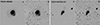 Thumbnail: Fig. 9. Refer to the following caption and surrounding text.