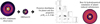 Thumbnail: Fig. 1 Refer to the following caption and surrounding text.