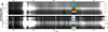 Thumbnail: Fig. 2 Refer to the following caption and surrounding text.