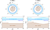 Thumbnail: Fig. 1. Refer to the following caption and surrounding text.