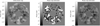 Thumbnail: Fig. 4 Refer to the following caption and surrounding text.