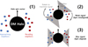 Thumbnail: Fig. 2. Refer to the following caption and surrounding text.