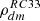 Mathematical equation: $ \rho_{dm}^{RC33} $