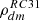Mathematical equation: $ \rho_{dm}^{RC31} $
