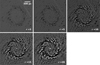 Thumbnail: Fig. 2 Refer to the following caption and surrounding text.