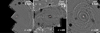 Thumbnail: Fig. 4 Refer to the following caption and surrounding text.