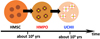 Thumbnail: Fig. 1 Refer to the following caption and surrounding text.