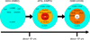 Thumbnail: Fig. 6 Refer to the following caption and surrounding text.