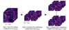 Thumbnail: Fig. 1. Refer to the following caption and surrounding text.