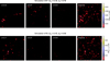 Thumbnail: Fig. 3. Refer to the following caption and surrounding text.