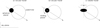 Thumbnail: Fig. 16 Refer to the following caption and surrounding text.