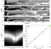 Thumbnail: Fig. 10. Refer to the following caption and surrounding text.