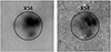 Thumbnail: Fig. 3. Refer to the following caption and surrounding text.