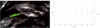 Thumbnail: Fig. B.3 Refer to the following caption and surrounding text.