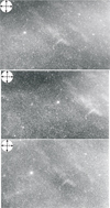 Thumbnail: Fig. 3 Refer to the following caption and surrounding text.