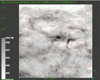 Thumbnail: Fig. 4 Refer to the following caption and surrounding text.