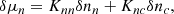 Mathematical equation: $$ \begin{aligned} \delta \mu _n = K_{nn}\delta n_n + K_{nc}\delta n_c ,\end{aligned} $$