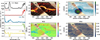 Thumbnail: Fig. 8 Refer to the following caption and surrounding text.