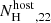 $ {N_{\mathrm{H}}^{\mathrm{host}}}_{,22} $