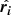 Mathematical equation: $ \hat{\boldsymbol{r_i}} $