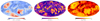 Thumbnail: Fig. 10. Refer to the following caption and surrounding text.