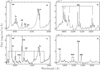 Thumbnail: Fig. 5 Refer to the following caption and surrounding text.