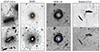 Thumbnail: Fig. 5. Refer to the following caption and surrounding text.