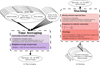 Thumbnail: Fig. 6 Refer to the following caption and surrounding text.