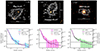 Thumbnail: Fig. 2. Refer to the following caption and surrounding text.