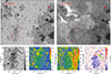 Thumbnail: Fig. 7. Refer to the following caption and surrounding text.