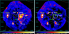 Thumbnail: Fig. 2 Refer to the following caption and surrounding text.