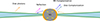 Thumbnail: Fig. 1. Refer to the following caption and surrounding text.