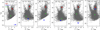 Thumbnail: Fig. 7 Refer to the following caption and surrounding text.