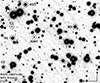 Thumbnail: Fig. 1. Refer to the following caption and surrounding text.