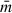 Mathematical equation: $ \bar{m} $