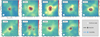 Thumbnail: Fig. 3 Refer to the following caption and surrounding text.