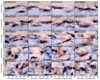 Thumbnail: Fig. B.1. Refer to the following caption and surrounding text.