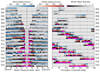 Thumbnail: Fig. 1. Refer to the following caption and surrounding text.