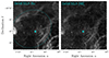 Thumbnail: Fig. B.1. Refer to the following caption and surrounding text.