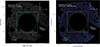 Thumbnail: Fig. 3. Refer to the following caption and surrounding text.
