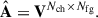 Mathematical equation: $$ \begin{aligned} \hat{\mathbf{A }} = \mathbf V ^{N_{\rm ch} \times N_{\rm fg}}. \end{aligned} $$