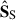 Mathematical equation: $ \hat{\mathbf{S}}_{\mathrm{S}} $