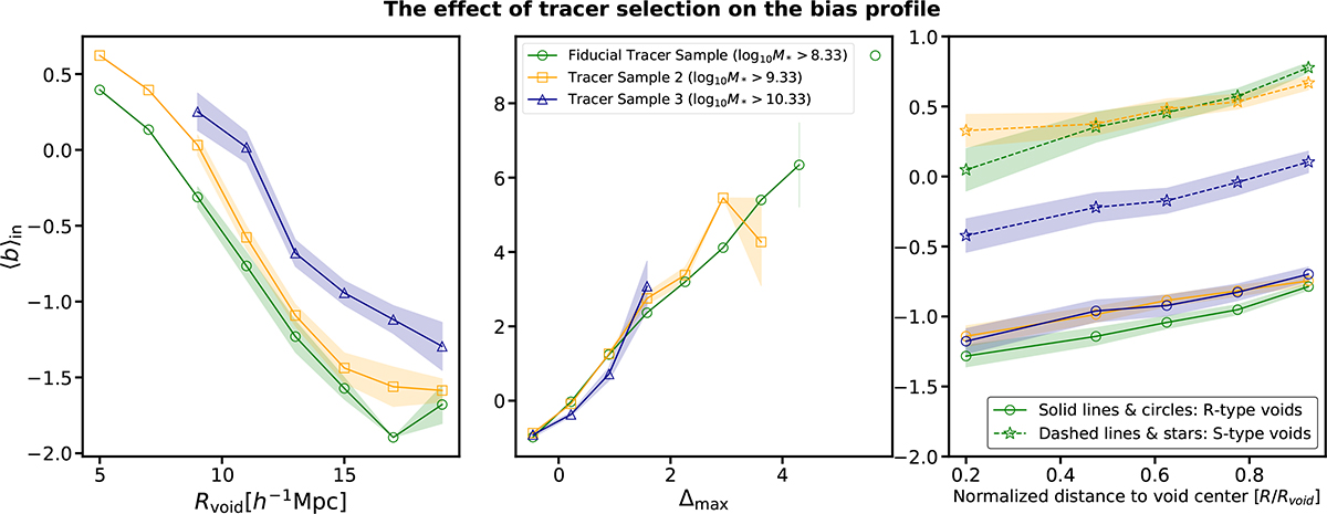 The galaxy bias profile of cosmic voids | Astronomy & Astrophysics (A&A)