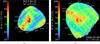 Thumbnail: Fig. 13 Refer to the following caption and surrounding text.